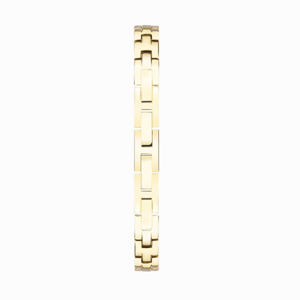 Stardust Ladies Watch  –  Gold Alloy Case & Bracelet with Silver Dial 2