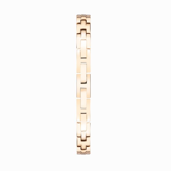 Stardust Ladies Watch  –  Rose Gold Alloy Case & Bracelet with Silver Dial 2