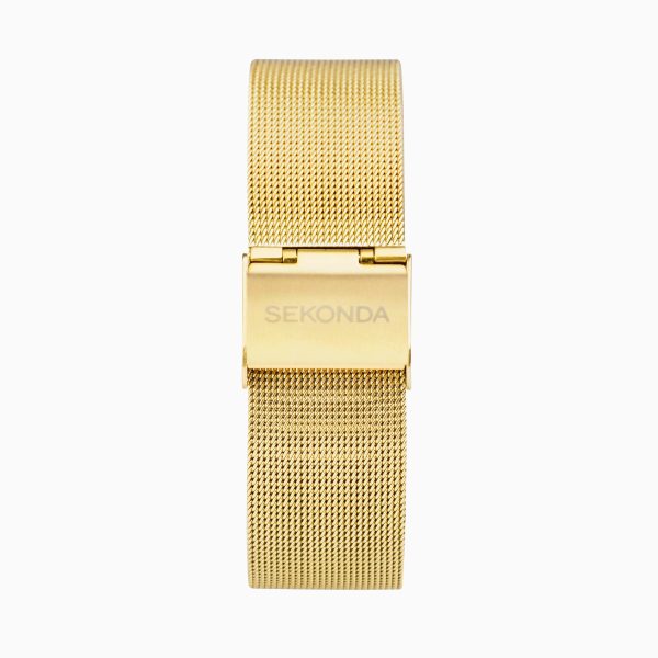 Flex Smart Watch  –  Gold Case & Mesh Strap 5